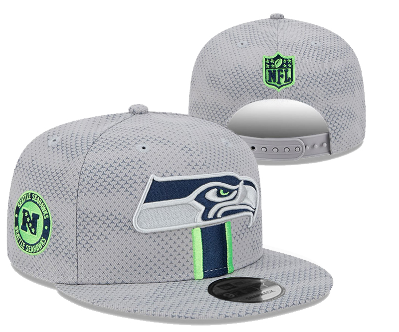 Seattle Seahawks 2025 Stitched Snapback Hats 006